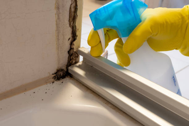 Best Residential Mold Removal  in Carbonville, UT